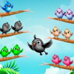 Bird Loop Sort MOD APKs 4.4 Unlimited Money Bird Loop Sort MOD APKs 4.4 Unlimited Money
