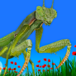 Bugs Insects VRAR Kid Game MOD APKs 4.5.1 Unlimited Money Bugs Insects VRAR Kid Game MOD APKs 4.5.1 Unlimited Money