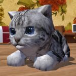 Cute Pocket Cat 3D MOD APKs 1.23.9 Unlimited Money