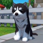 Dog Simulator 3D – Animal Life MOD APKs 1.1.00 Unlimited Money Dog Simulator 3D – Animal Life MOD APKs 1.1.00 Unlimited Money