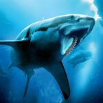Helicoprion Simulator MOD APKs 1.2.4 Unlimited Money