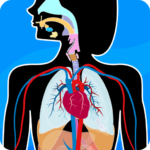 Human Anatomy – Body parts MOD APKs 2026.1.0 Unlimited Money