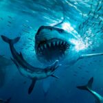 Megalodon Dino Survival Sim MOD APKs 1.2.2 Unlimited Money