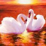 The Swan MOD APKs 1.1.8 Unlimited Money The Swan MOD APKs 1.1.8 Unlimited Money