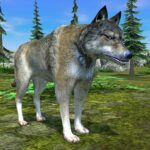 Wolf Simulator – Animal Games MOD APKs 1.0.62 Unlimited Money Wolf Simulator – Animal Games MOD APKs 1.0.62 Unlimited Money