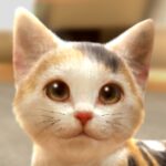 with My CAT MOD APKs 1.2.10 Unlimited Money with My CAT MOD APKs 1.2.10 Unlimited Money
