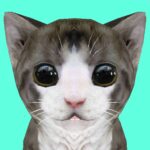 Cat Simulator Online MOD APKs 49 Unlimited Money Cat Simulator Online MOD APKs 49 Unlimited Money
