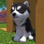Cute Pocket Puppy 3D – Part 2 MOD APKs 1.10.5 Unlimited Money Cute Pocket Puppy 3D – Part 2 MOD APKs 1.10.5 Unlimited Money