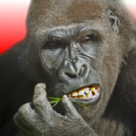 Flying Gorilla MOD APKs 5.0.2 Unlimited Money Flying Gorilla MOD APKs 5.0.2 Unlimited Money