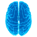 Logical tests – IQ MOD APKs 12.36 Unlimited Money