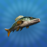 True Fishing 2 Online 3D MOD APKs 1.10.1 Unlimited Money