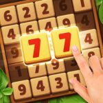 Woodber – Classic Number Game MOD APKs 2.9 Unlimited Money
